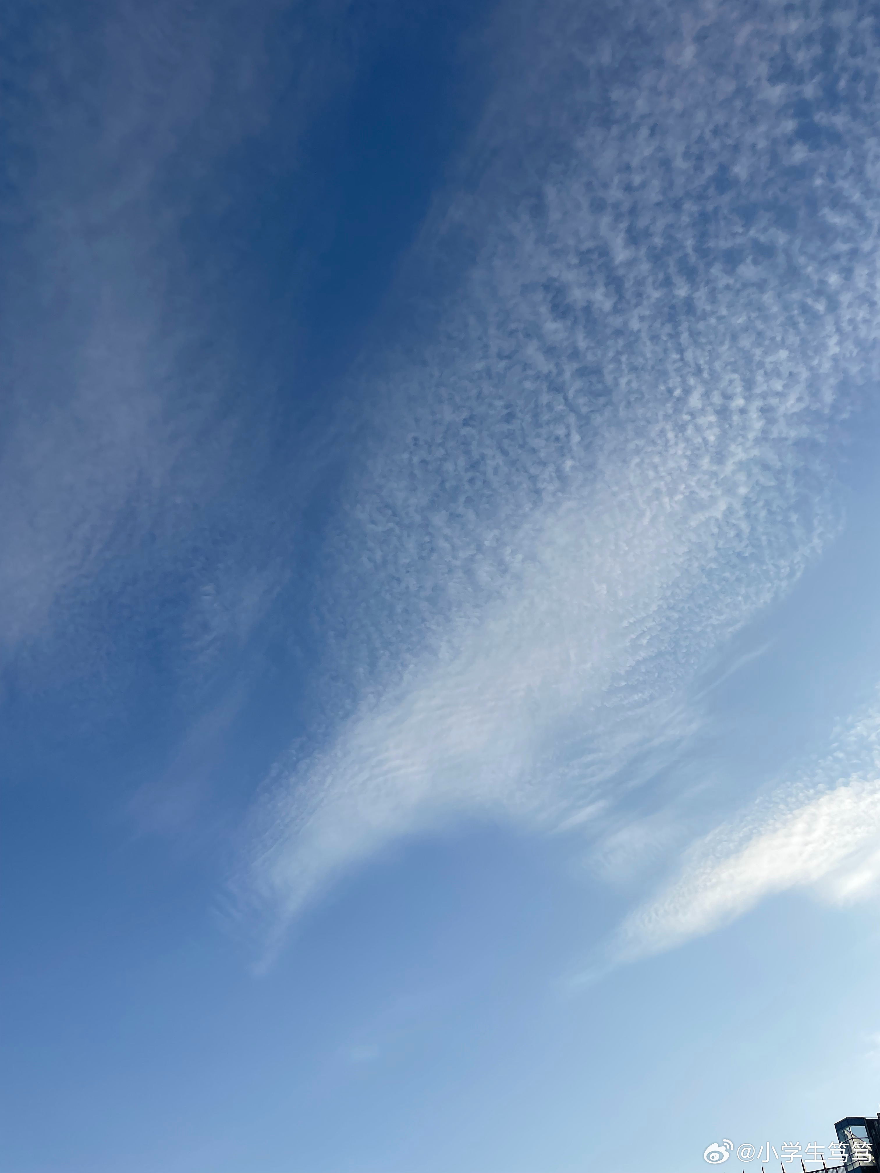 云飄飄最新，小巷深處的獨(dú)特風(fēng)味美食體驗(yàn)