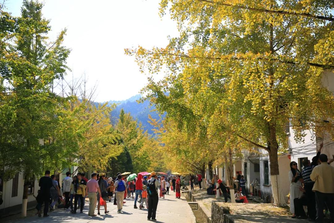 南雄最新現(xiàn)狀，科技前沿產(chǎn)品引領(lǐng)未來生活發(fā)展