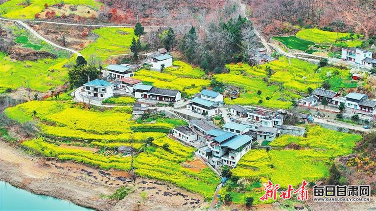 揭秘文縣，歷史背景、重大事件與時代地位全景展示