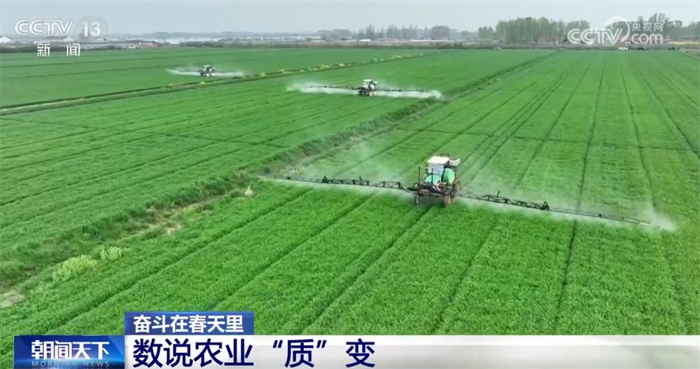 最新農(nóng)業(yè)農(nóng)村發(fā)展，播種希望，收獲自信與成就感