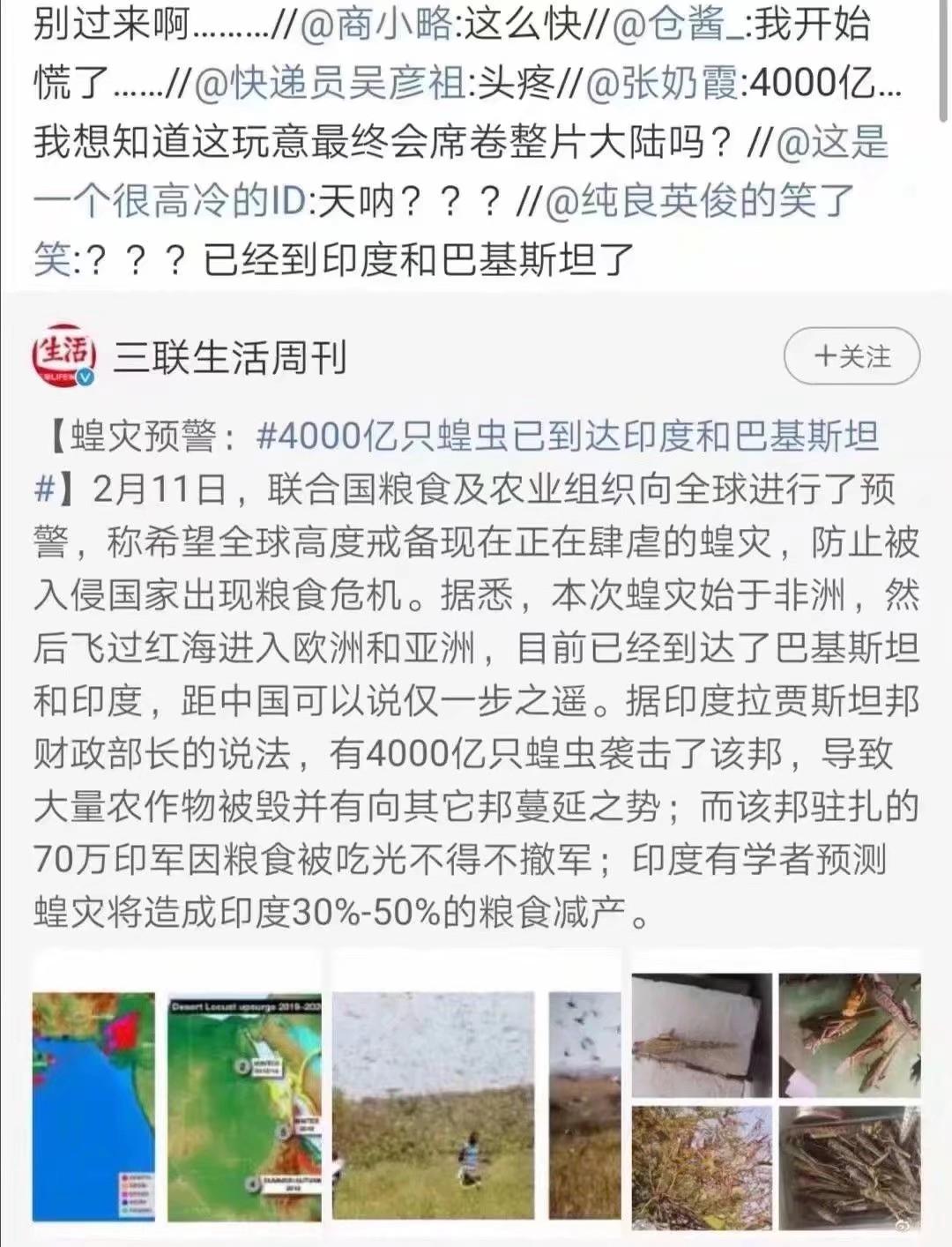 蝗蟲最新動(dòng)態(tài)，防治與監(jiān)測(cè)的全面指南