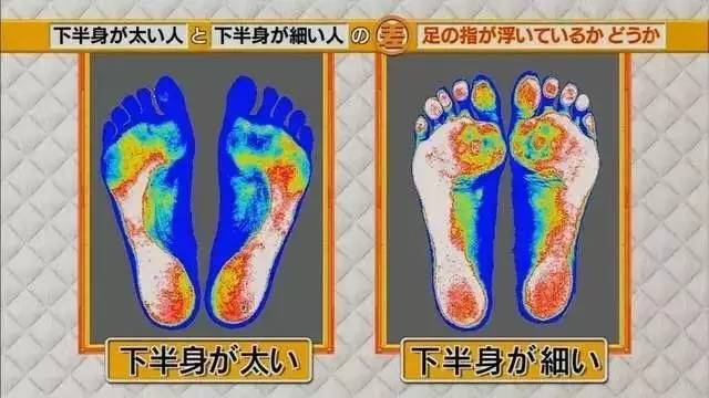 最新地趾論述，探索、爭(zhēng)議與觀點(diǎn)綜述