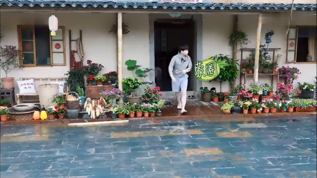 最新蘑菇屋，自然與生活完美融合的夢幻之地