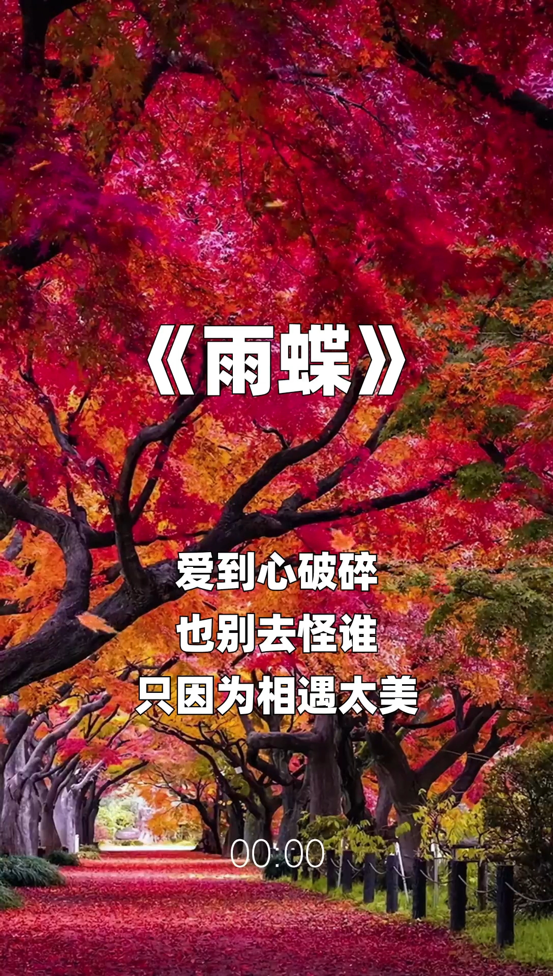 雨蝶最新步驟指南，如何完成任務(wù)或?qū)W習(xí)技能？