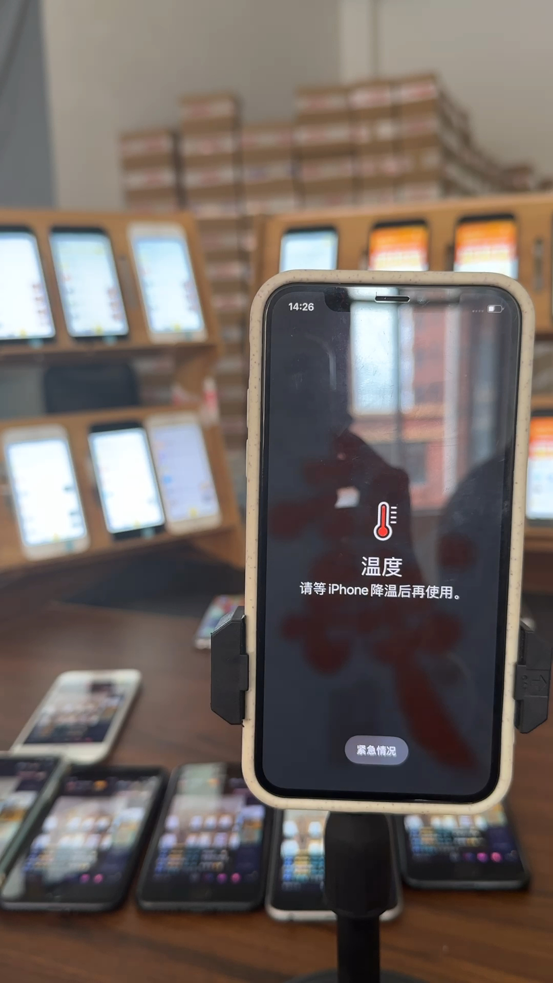 蘋果最新直播，科技與文化的完美融合盛宴
