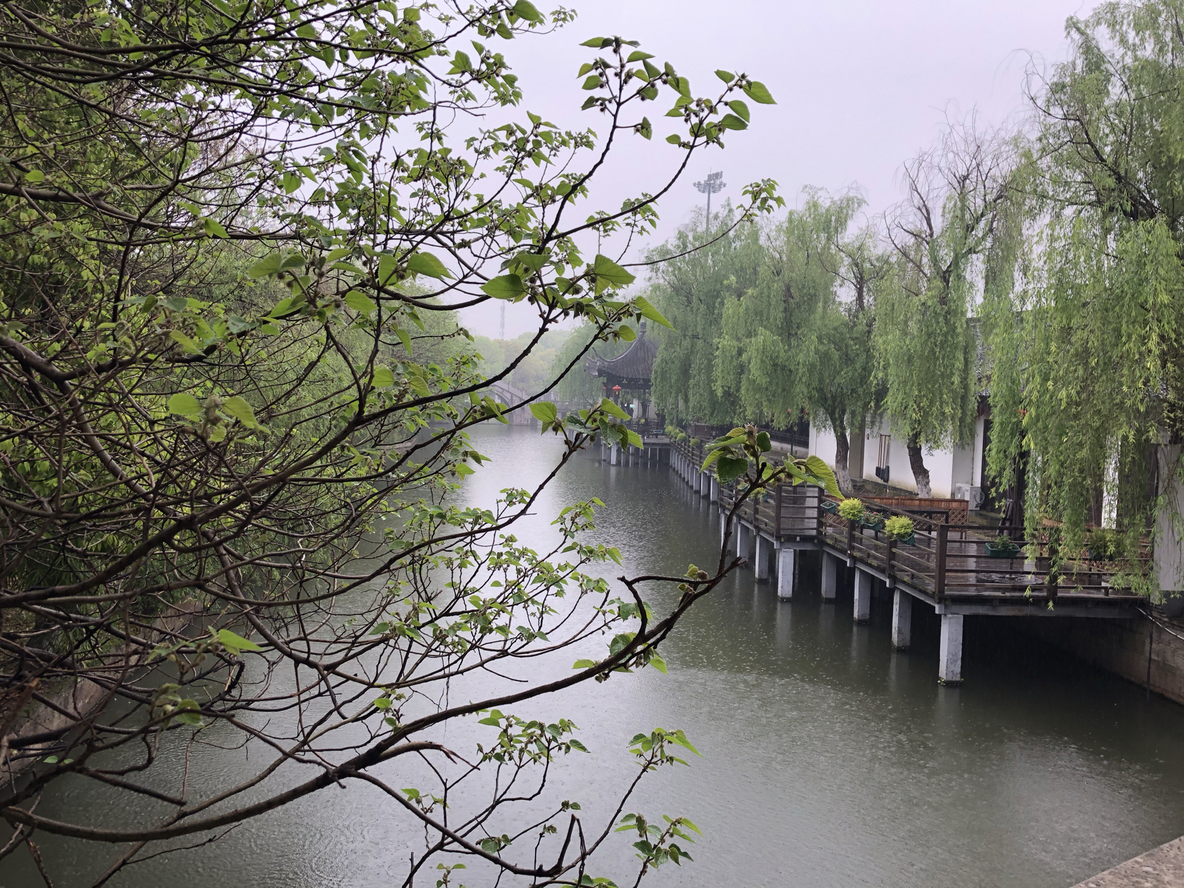 江南煙雨最新，自信與成就感的成長之旅