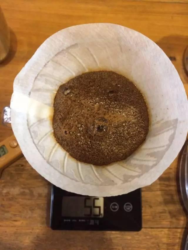 最新萃取法詳解，步驟指南與操作技巧