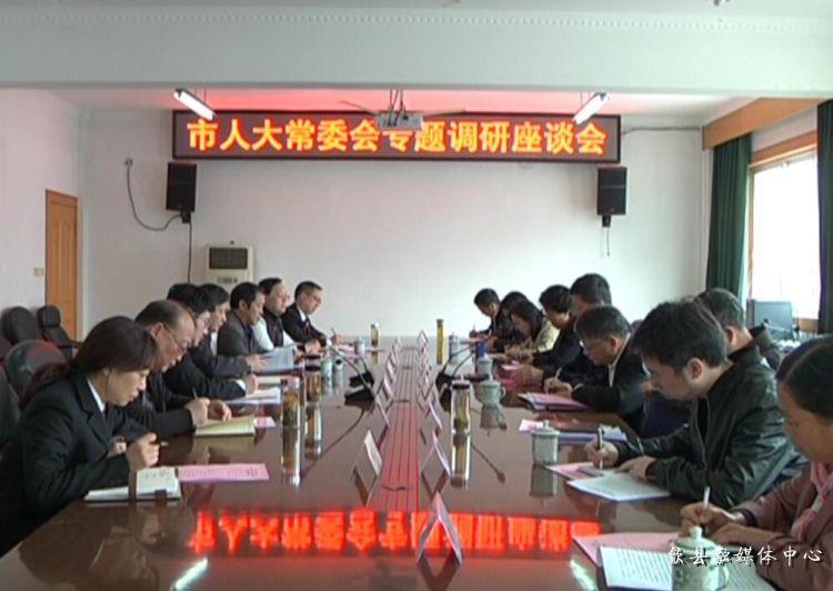 安徽歙縣最新動(dòng)態(tài)，小巷深處的驚喜