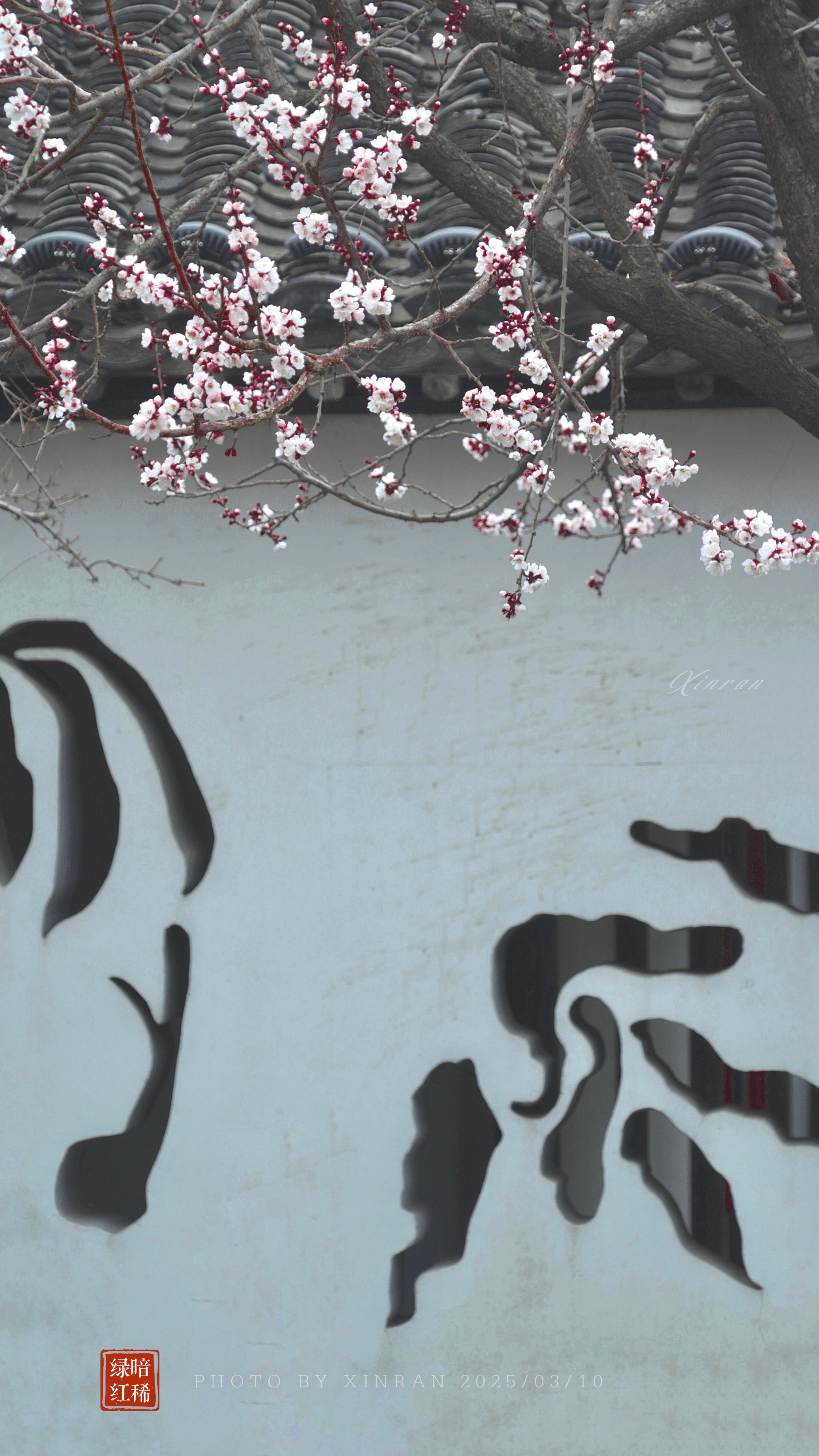 紅杏出墻新變化，自信閃耀，成就無限可能的學(xué)習(xí)之旅