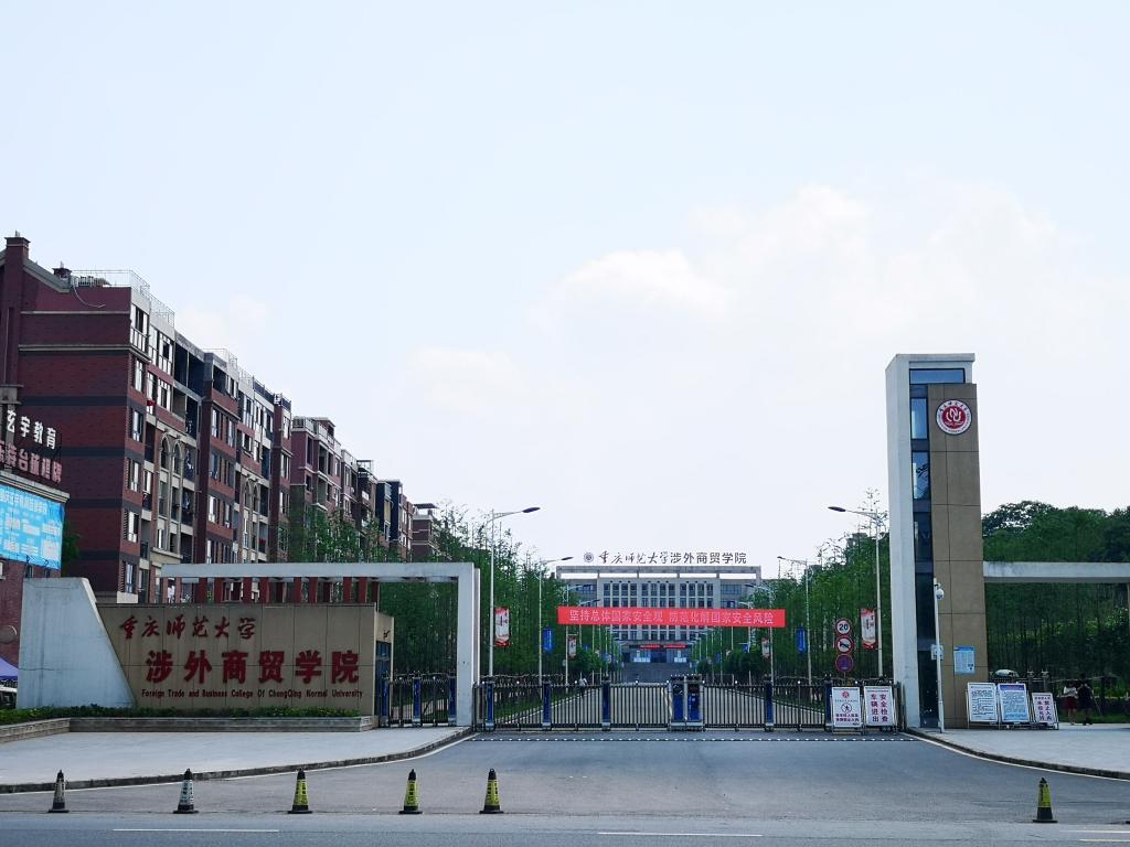 最新本科專業(yè)探秘，小巷中的隱藏寶藏之門