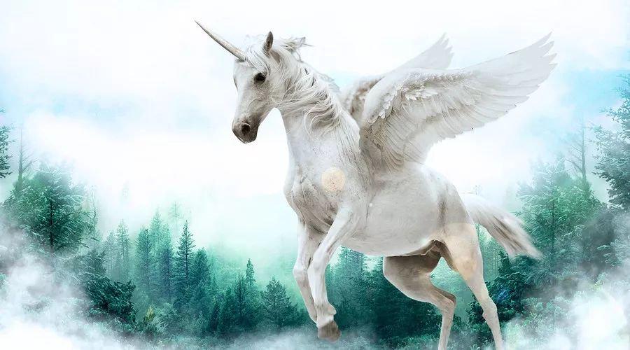 中國最新獨(dú)角獸，自信與成就感的源泉